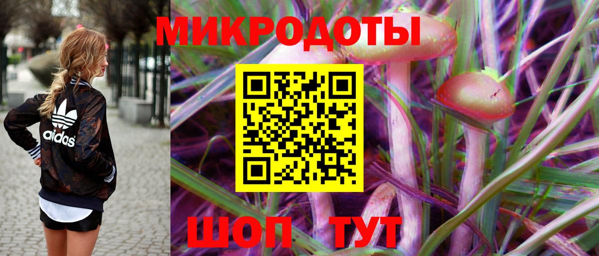 Псилоцибиновые грибы Psilocybine cubensis Геленджик