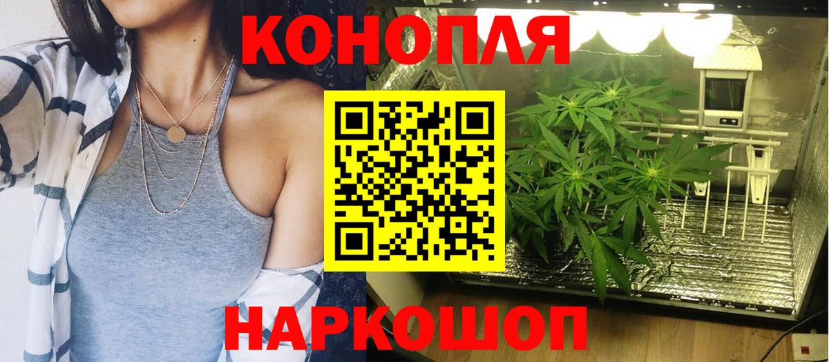 Шишки марихуана Bruce Banner  Вход с VPN  Бошки марихуана White Widow  Геленджик 